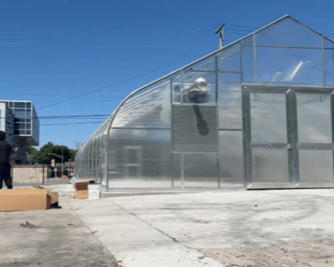Green House GIF